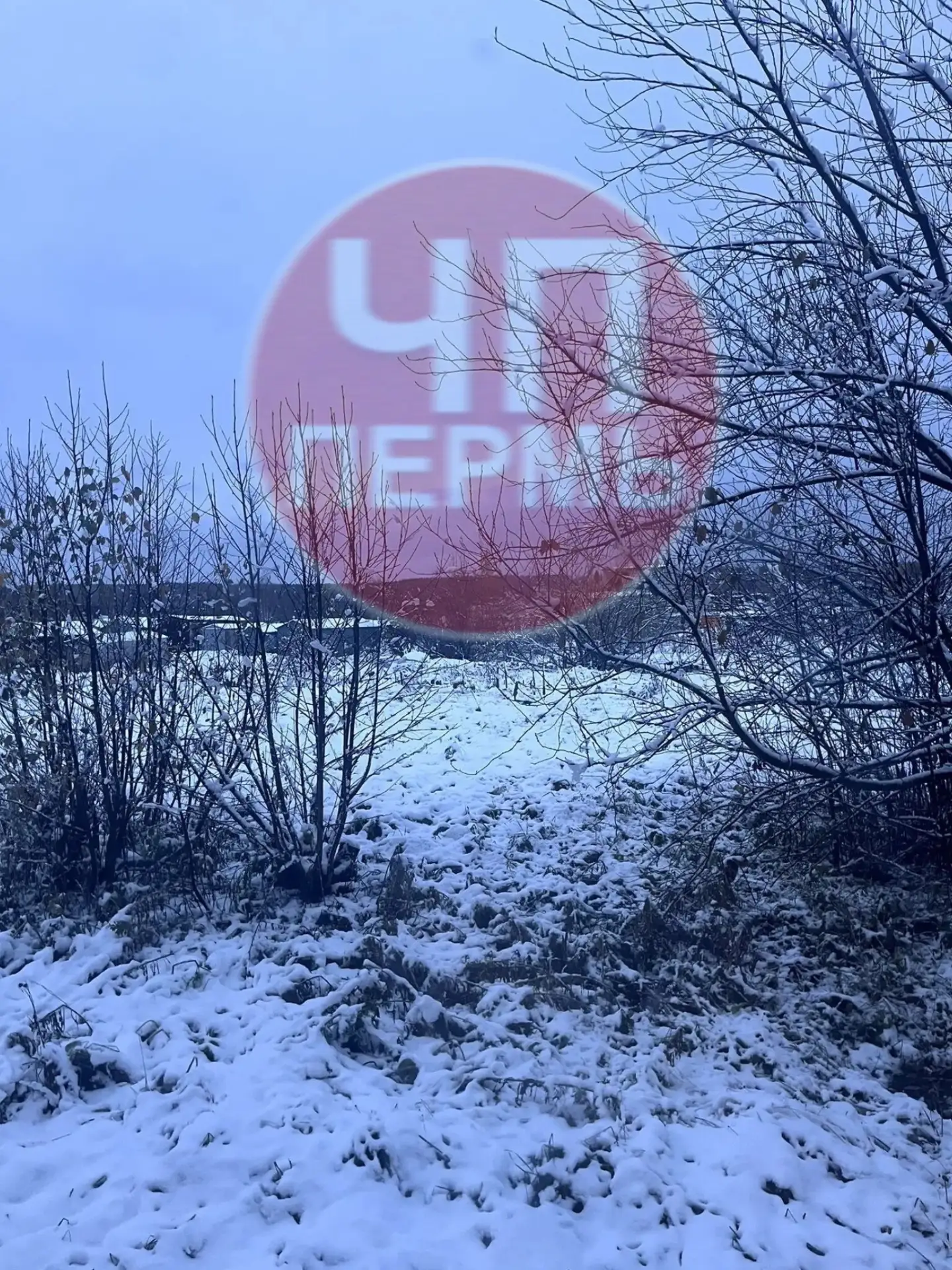 Вид из окна сегодня утром❄️