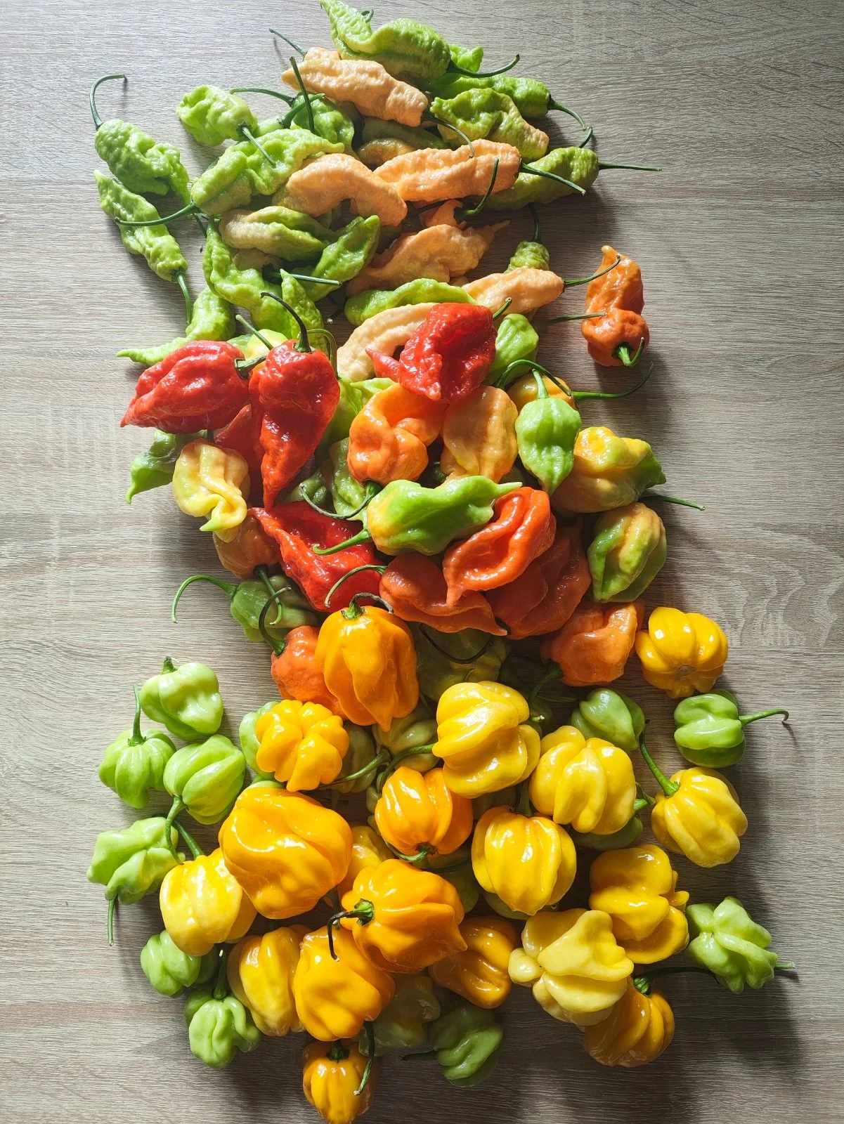 🌶️ В Новосибирске появилось новое предложение от Алексея.