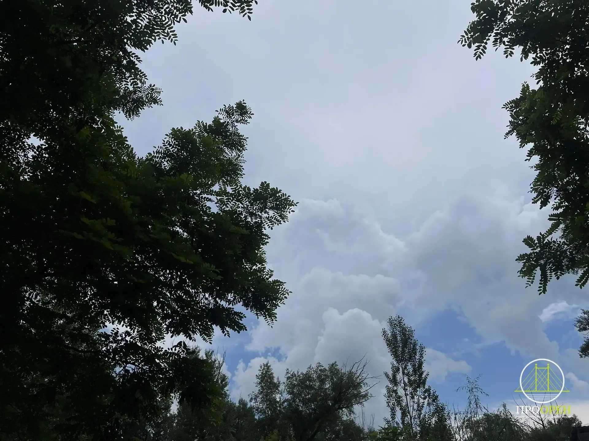 ⛈Завтра в Оренбуржье вновь прогремит гроза. Также возможен град

#Про_Общество

Региональное МЧС пре