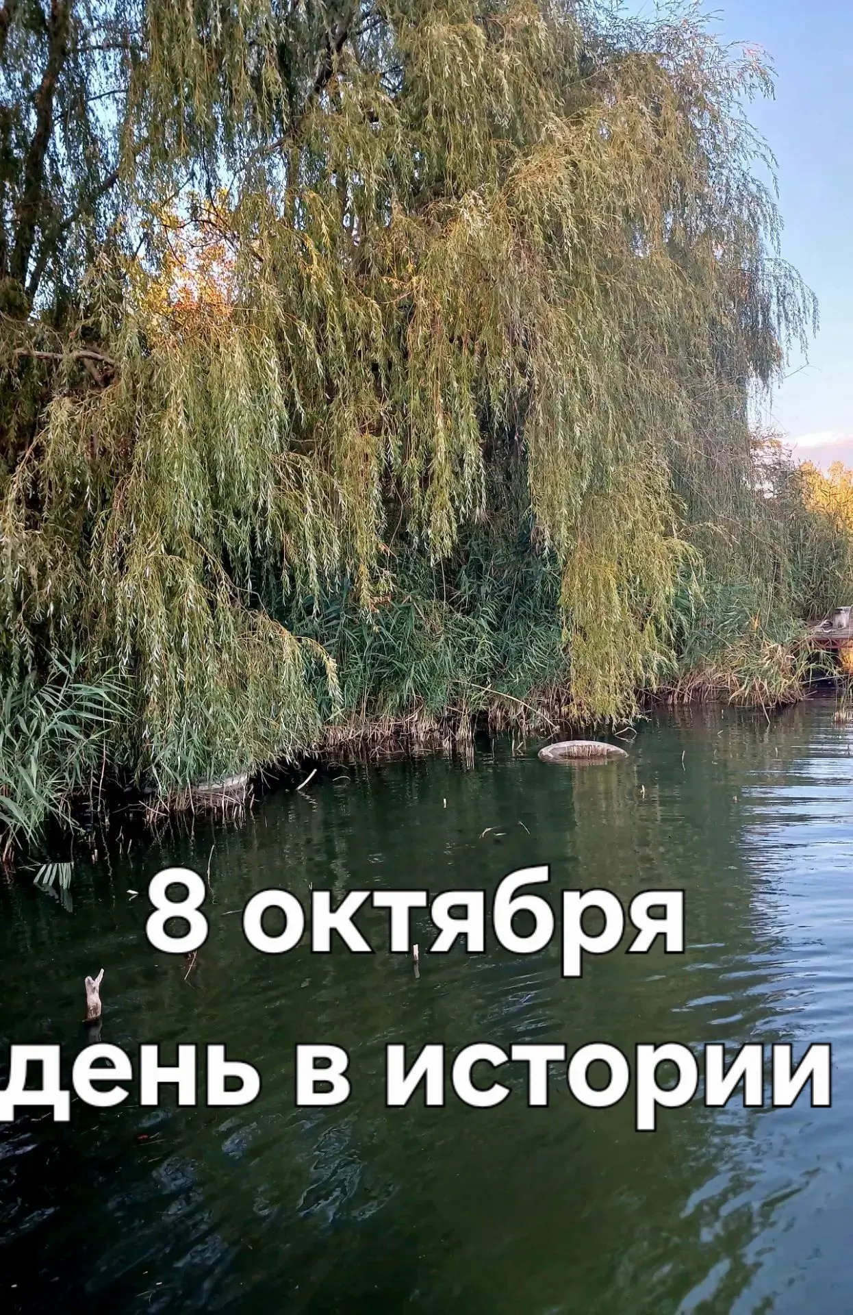 А знаете ли вы, что ❓