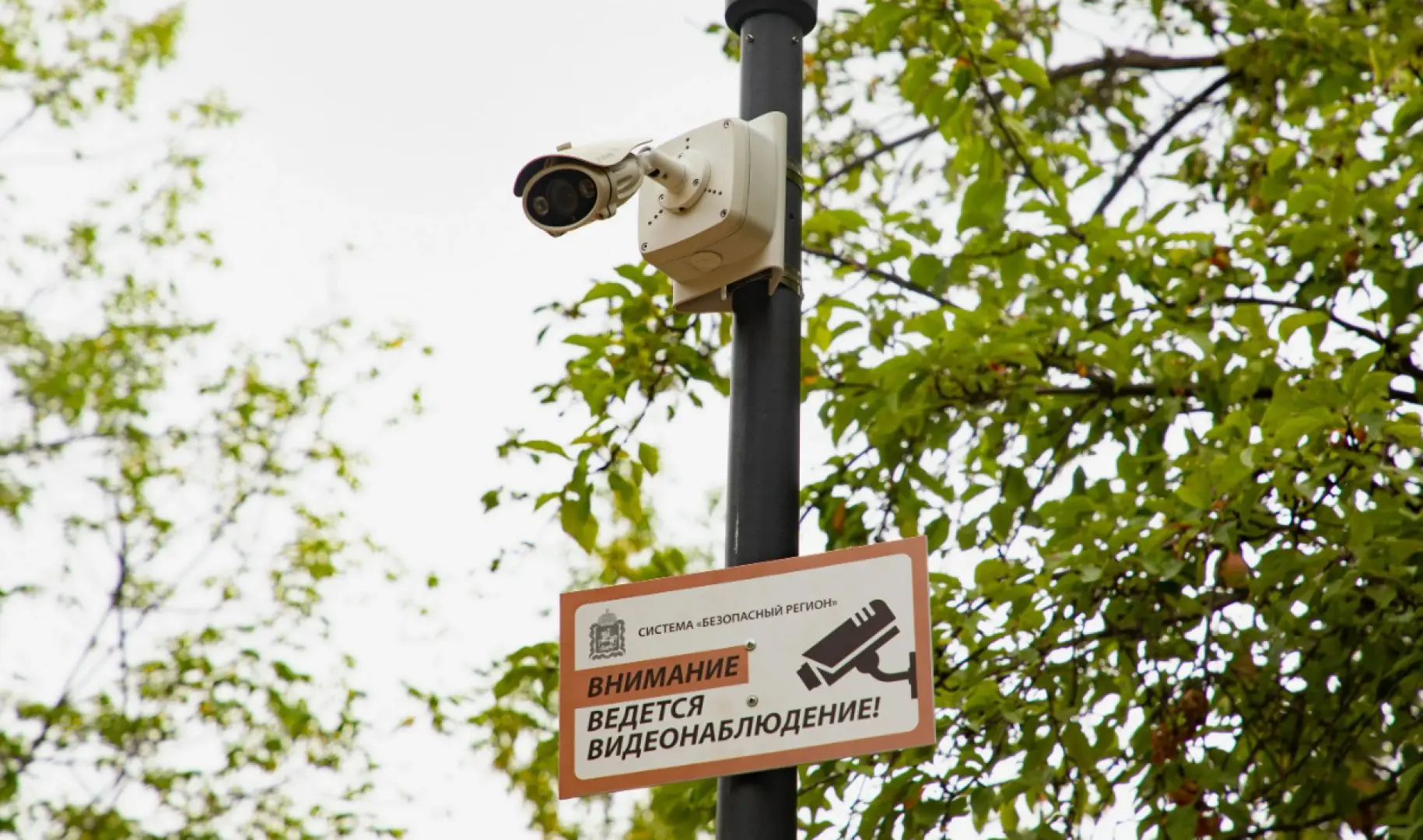 В Подмосковье искусственный интеллект фиксирует нарушения парковки.
С августа 2025 года система выяв