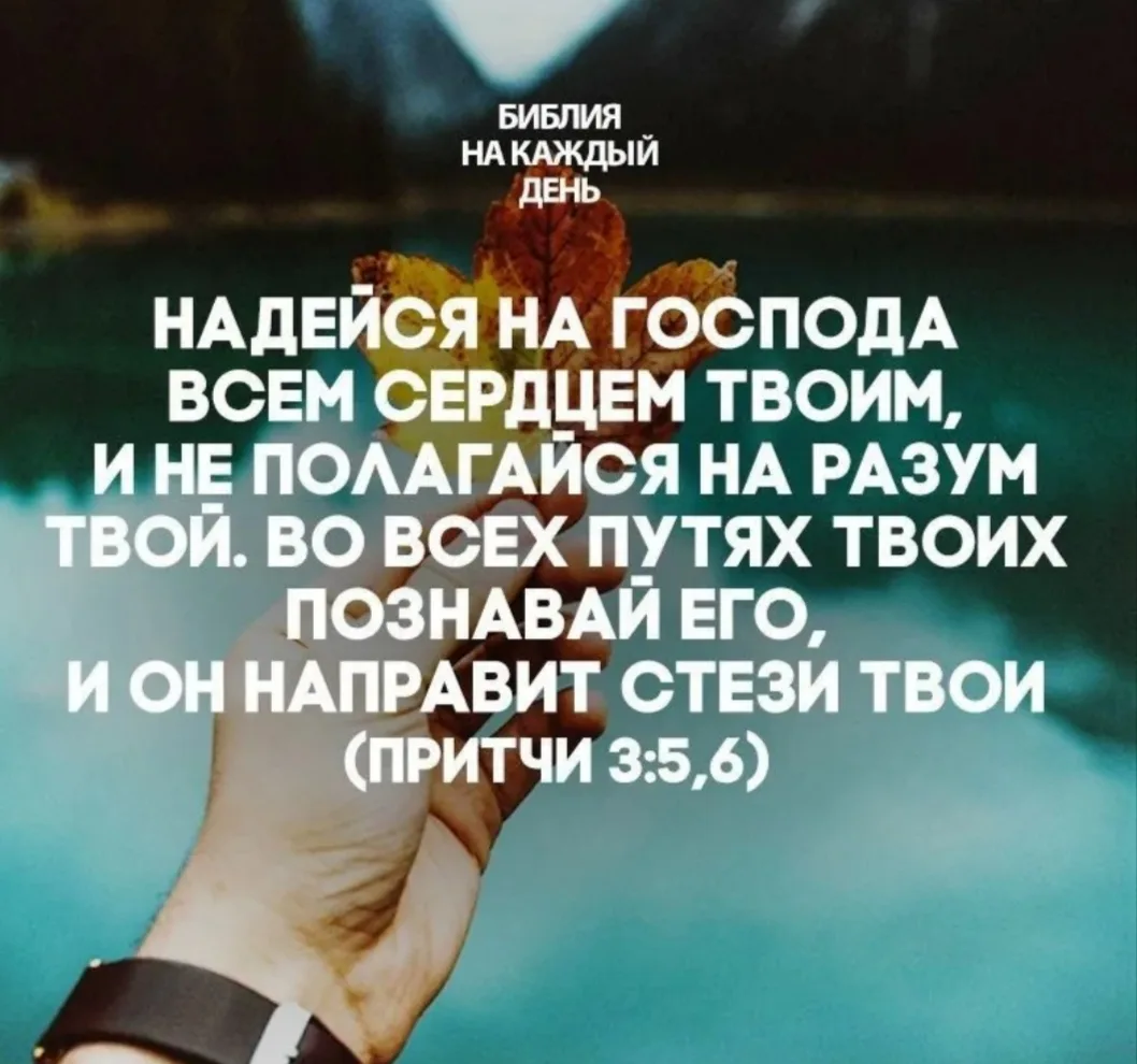 "Что я могу?"