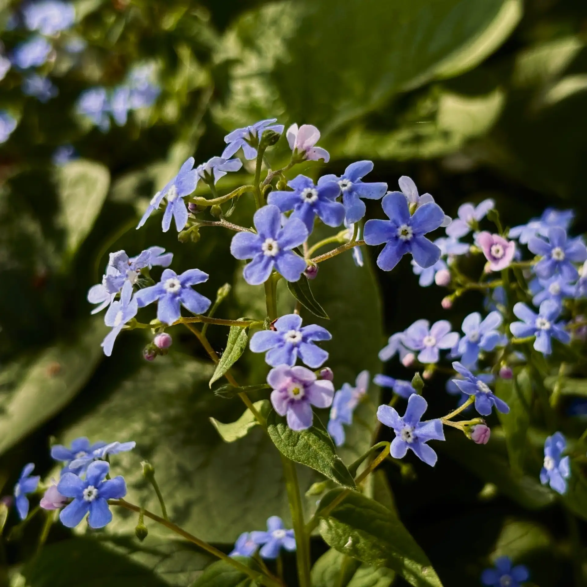Рабочая неделя завершилась, впереди — заслуженные выходные  🌸 Время воплотить в жизнь то, на что не 