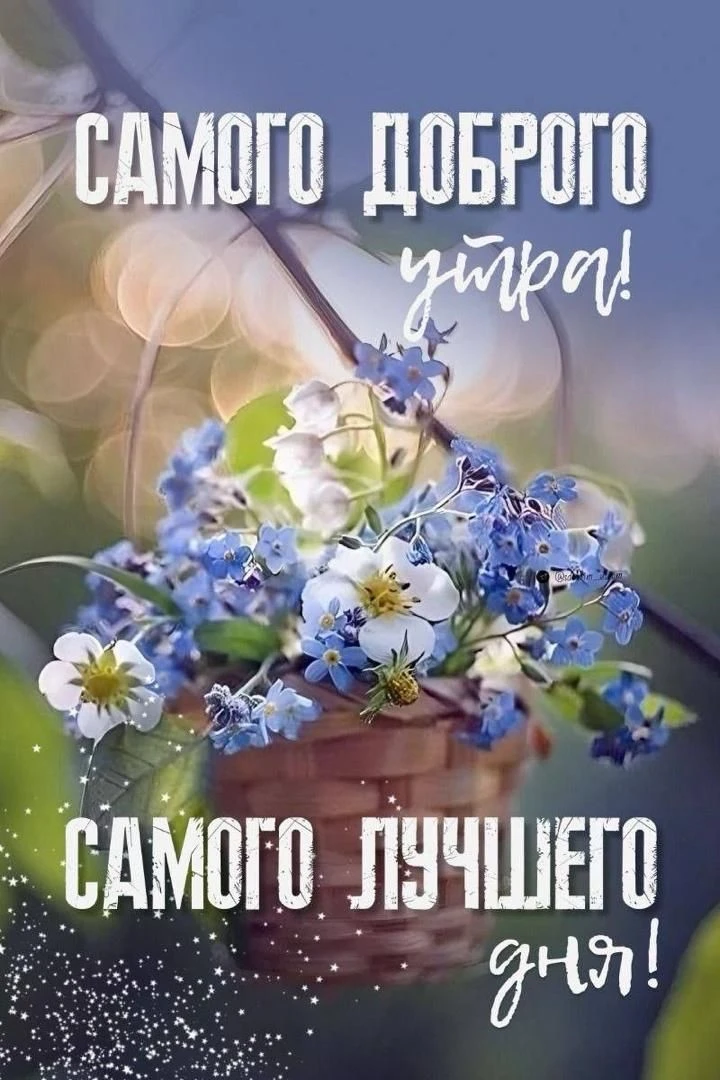 Изображение 1 к публикации «АГС Русского Донбасса»