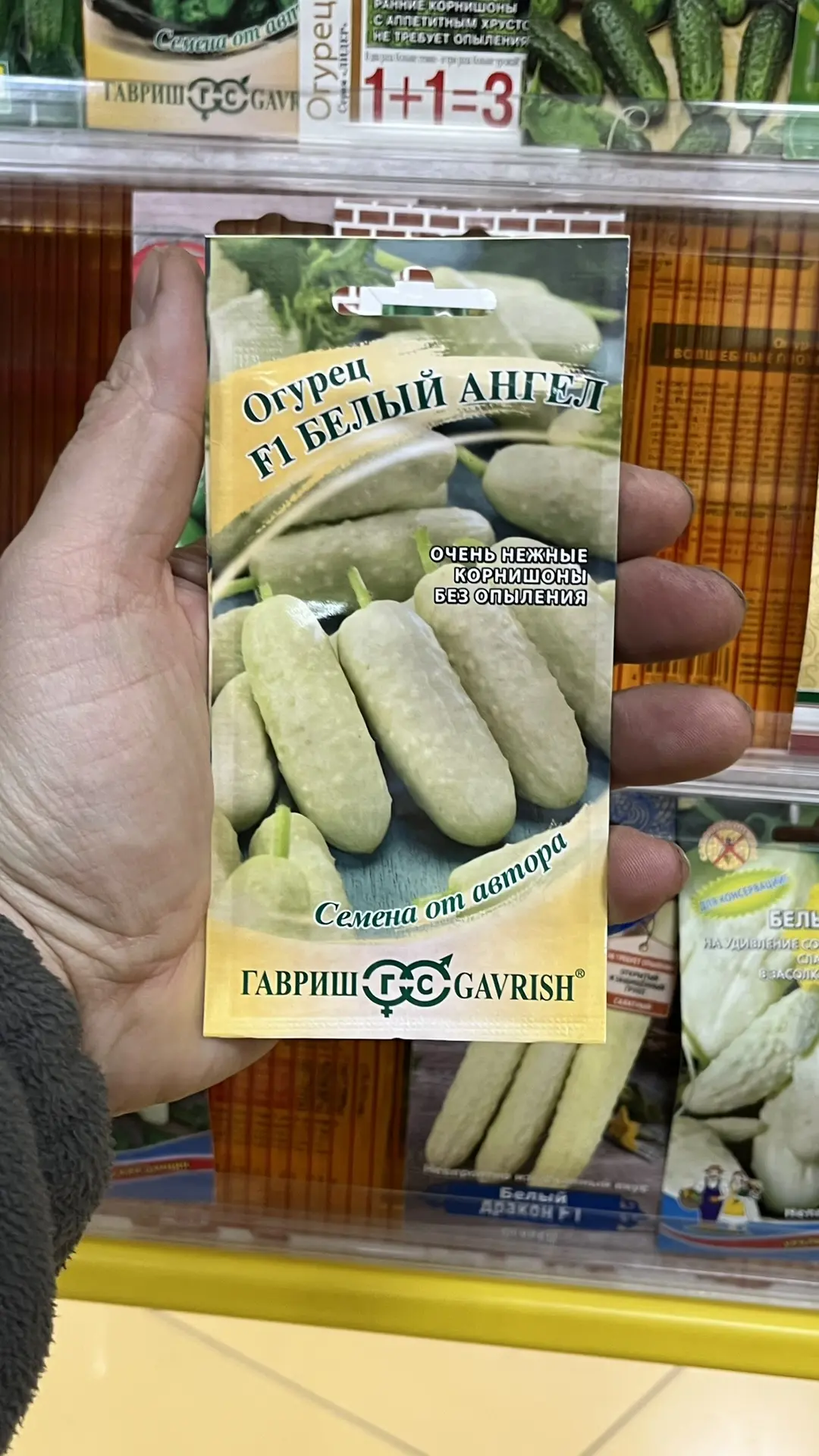 Огурцы 2026 – какие посажу обязательно и какие больше никогда.  #консультантсадовода  Огурцы – сравн
