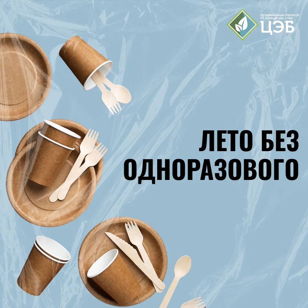 ☀️ Лето без одноразового