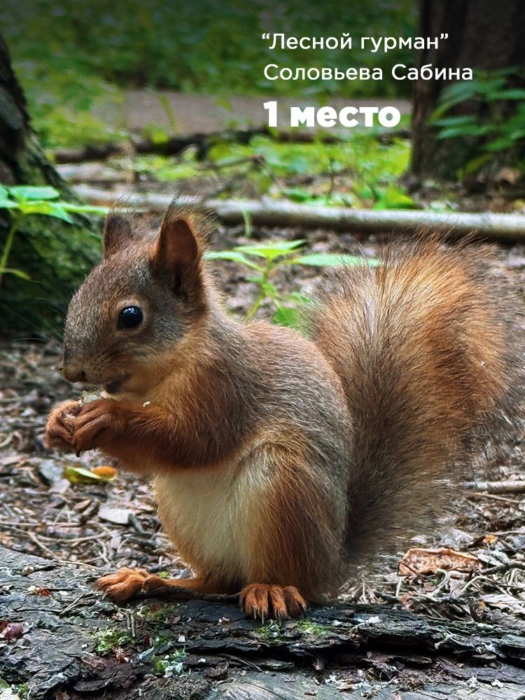 📸 Итоги фотоконкурса АВИСМЫ «Экология в объективе»