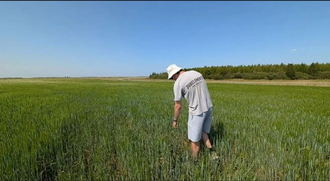 В рубрику "Сделано в Челябинской области":