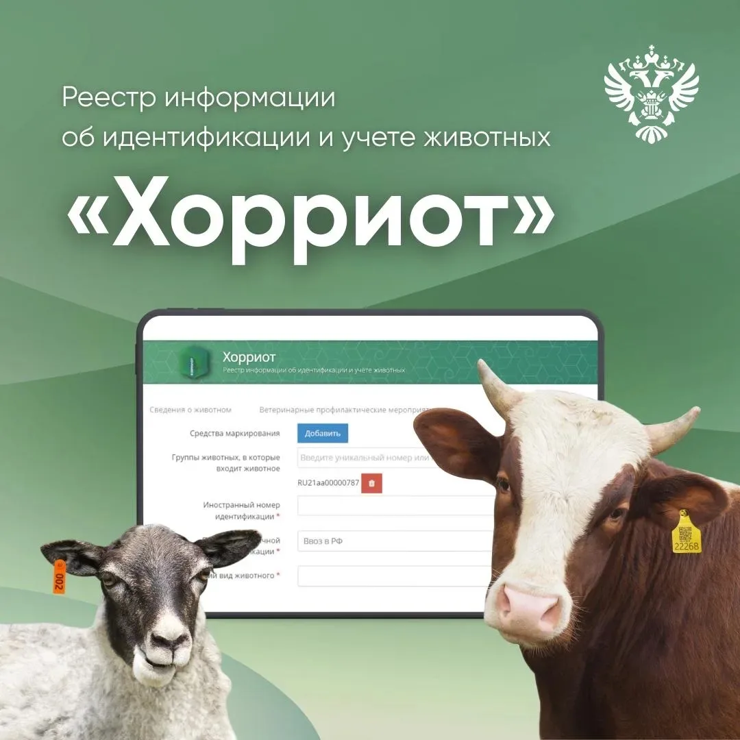 Друзья, мы продолжаем рубрику #ProНадзор. Ранее мы рассказывали в этом посте о Федераль...