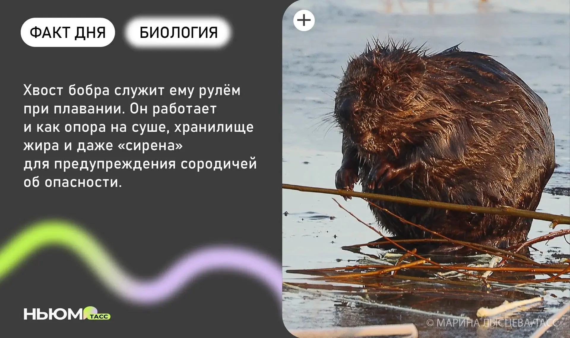 Знали? 

👍🏻 - да
🙄 - нет
