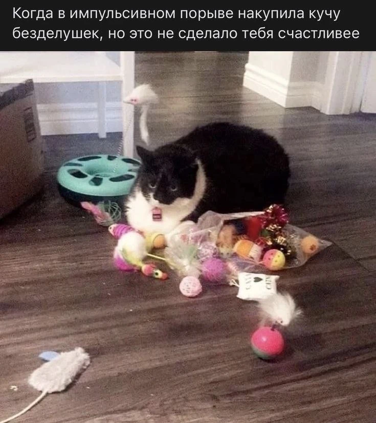 мы?…