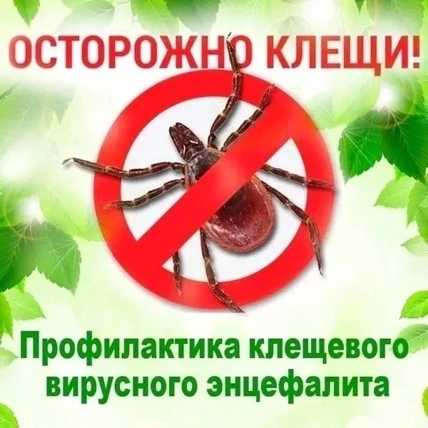 О Всероссийской горячей линии по профилактике клещевого энцефалита и инфекций, передающ...