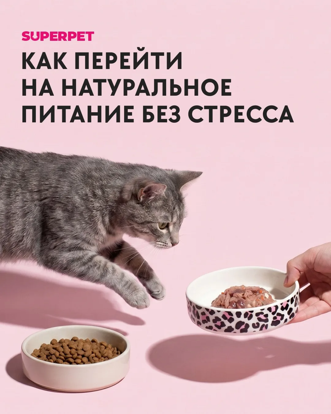 Как перейти на натуральное питание без стресса
