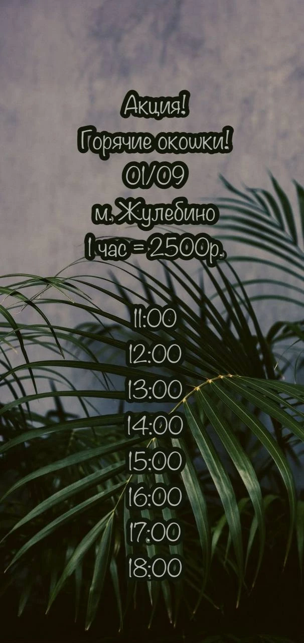 🌿Горячие окошки🌿