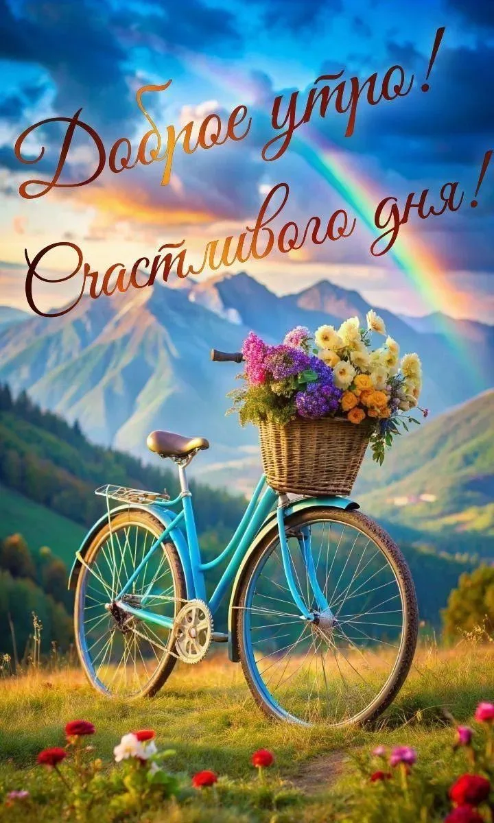 ✨❤️❤️❤️🍬✨