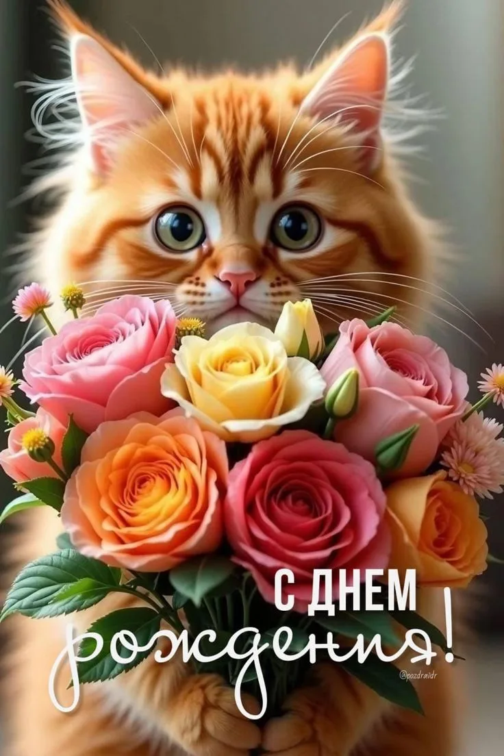 С днём рождения!🧡