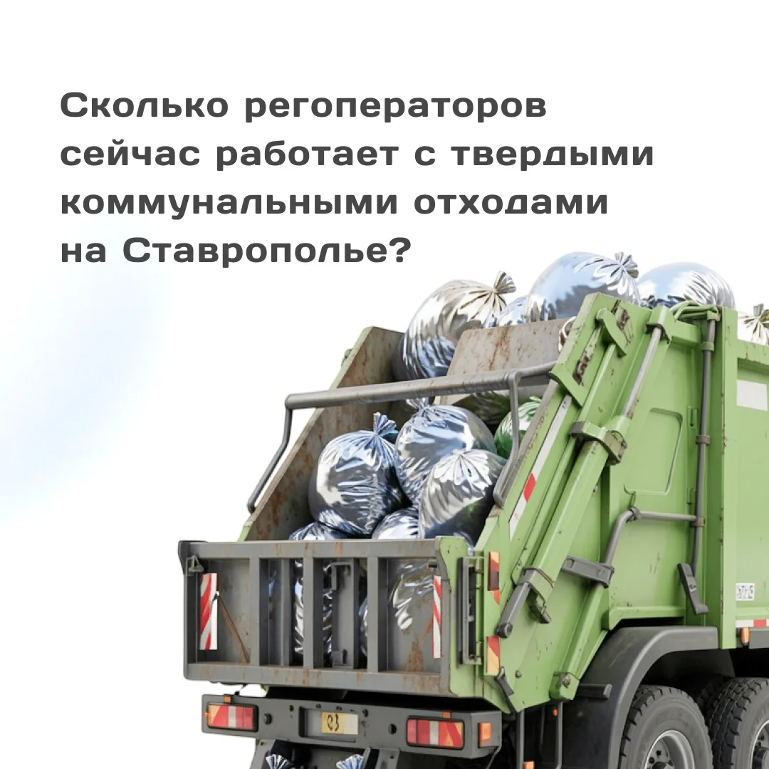 Кто помогает ставропольцам не «утонуть» в мусоре?