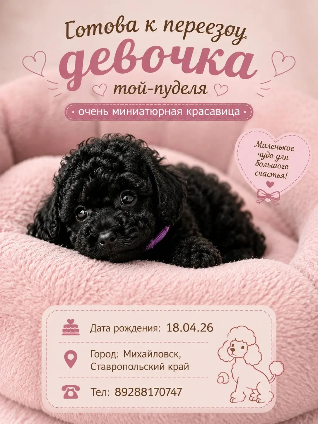 ГОТОВА К ПЕРЕЕЗДУ 🥰