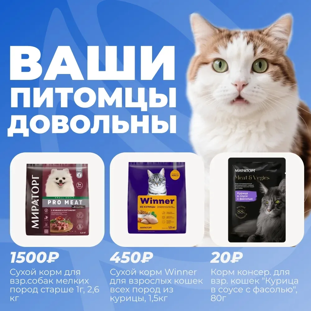 🐶🐱 ПИТОМЦЫ ДОВОЛЬНЫ