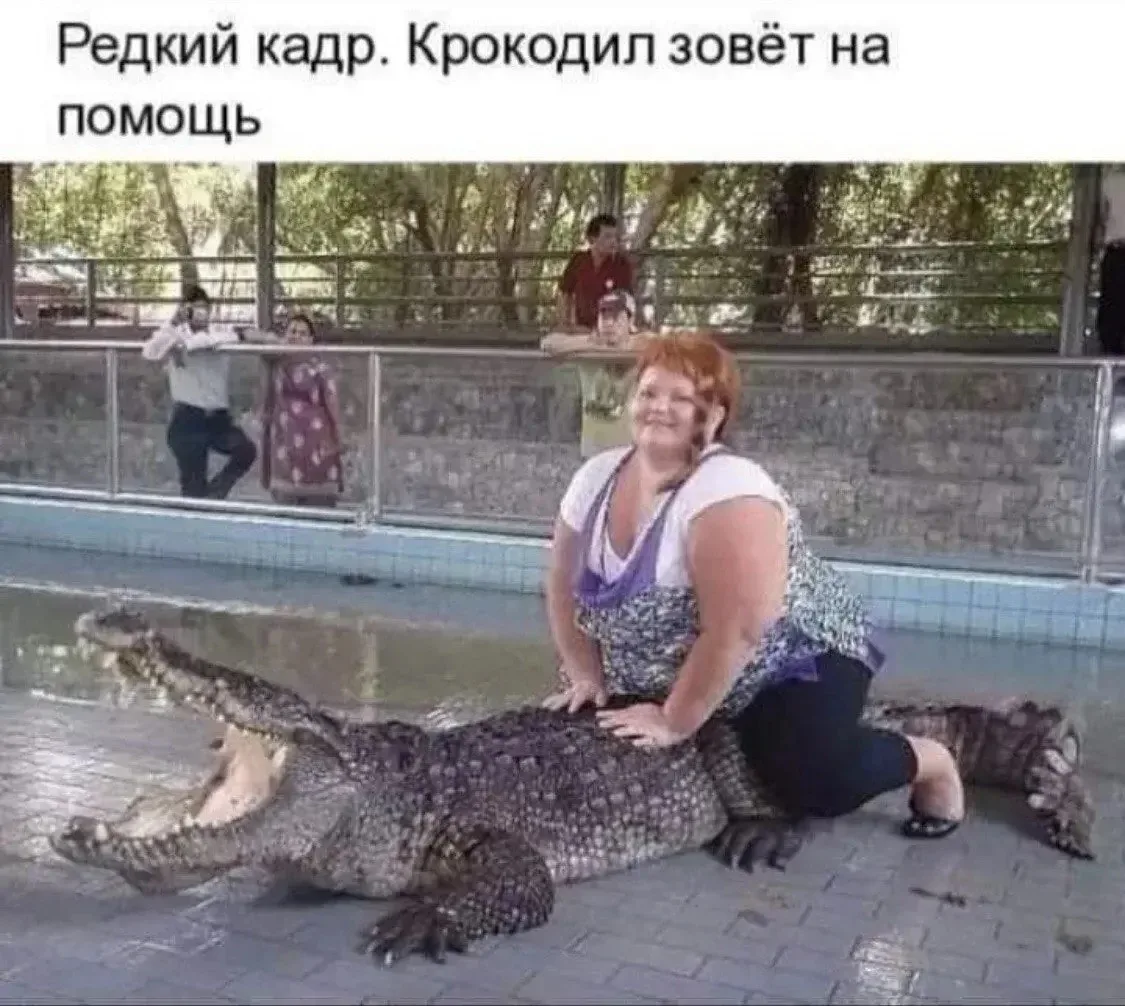 ❗️Вас приглашают в самый смешной канал в MAX 😂

Здесь шутят КАЧЕСТВЕННО! ✅

🔥 ТОП креативного юмор