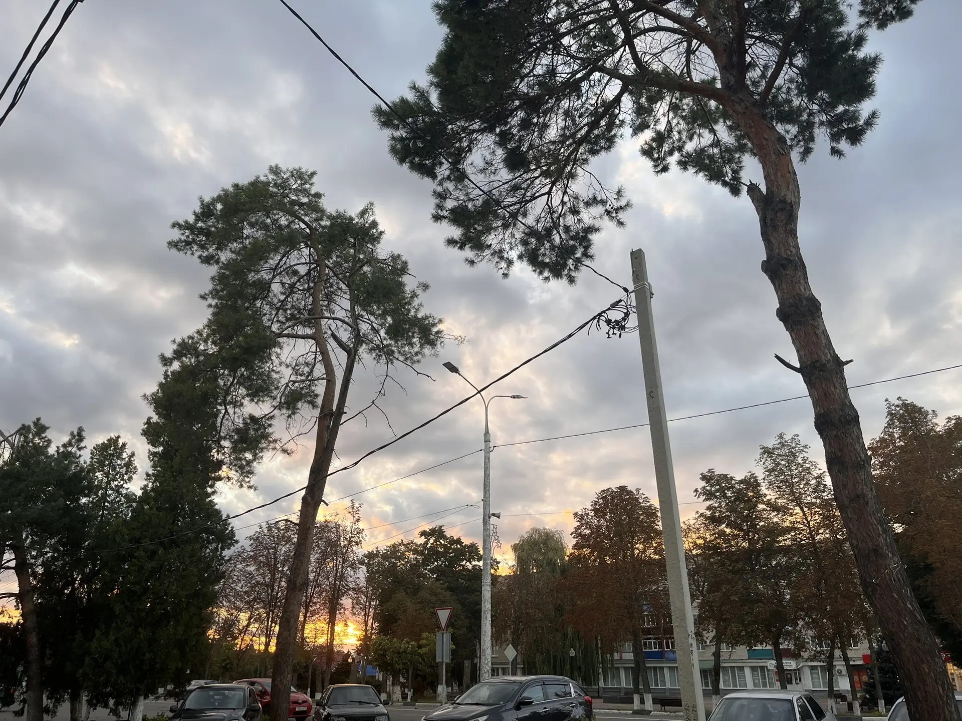 Отличного вечера и хороших выходных Тихорецк 🥰🍁