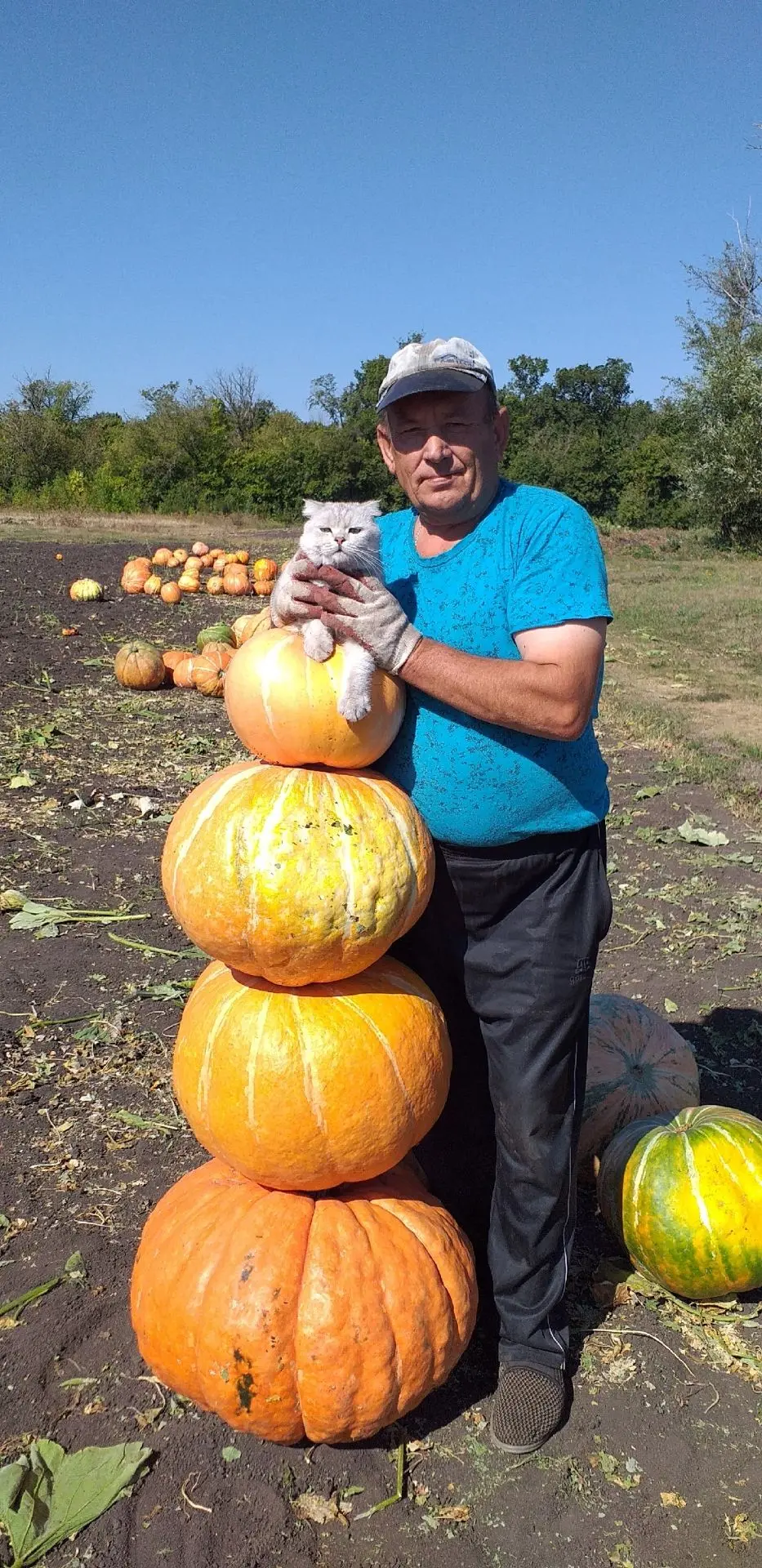 🎃 ОГОрод! Не снеговик, а настоящий тыквовик!