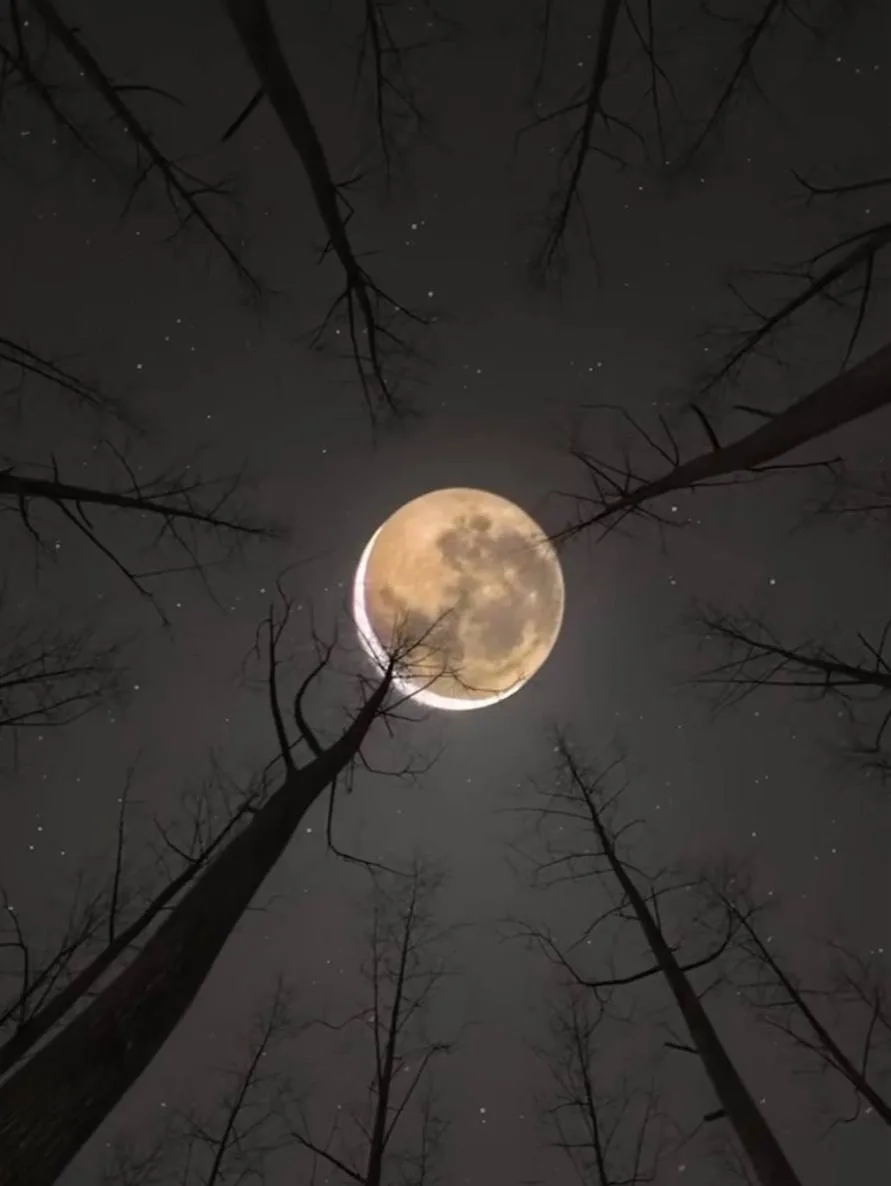 🌑 На Луне бывают “лунотрясения”
