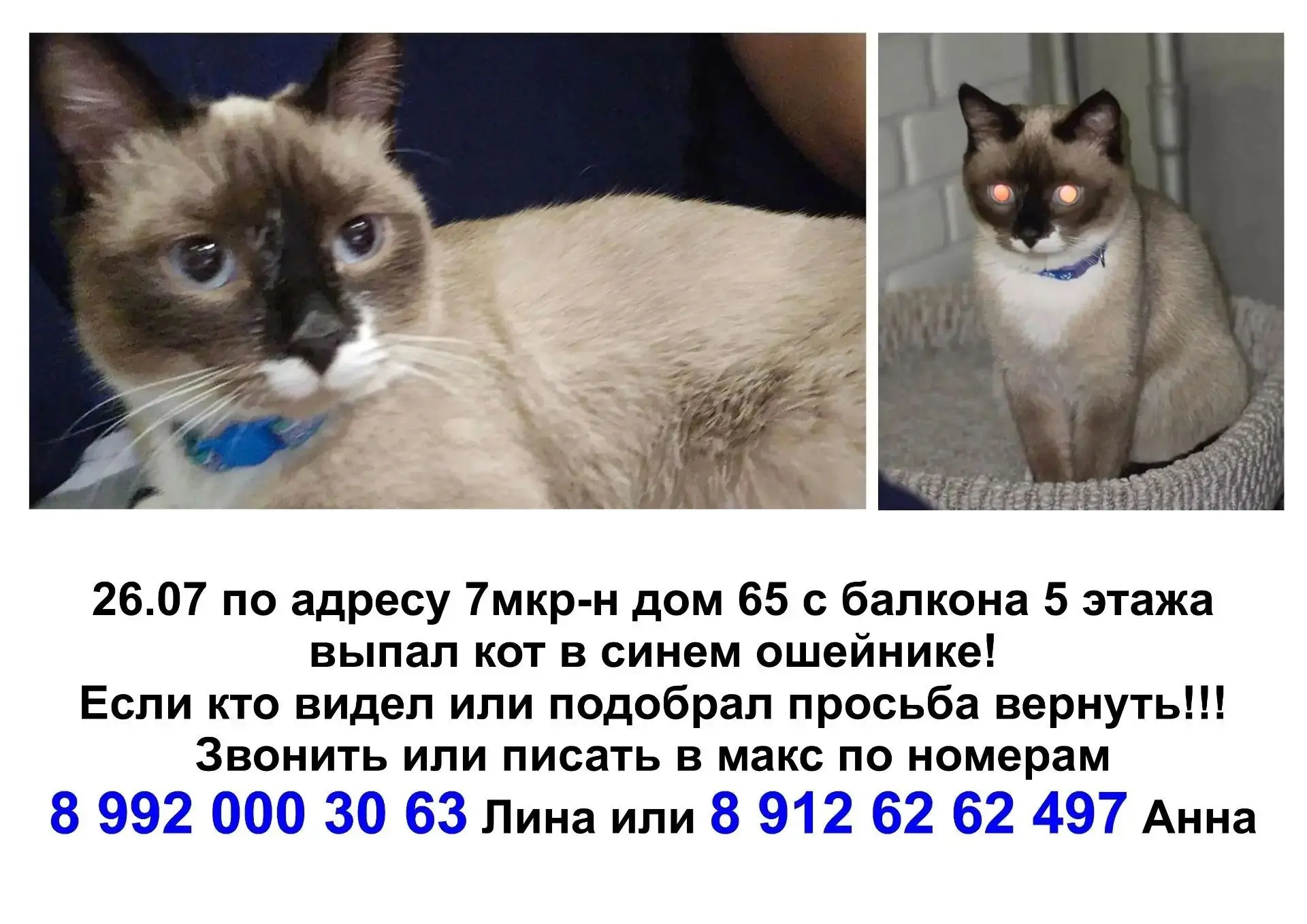 Нашедшему вознаграждение🙏🙏🙏