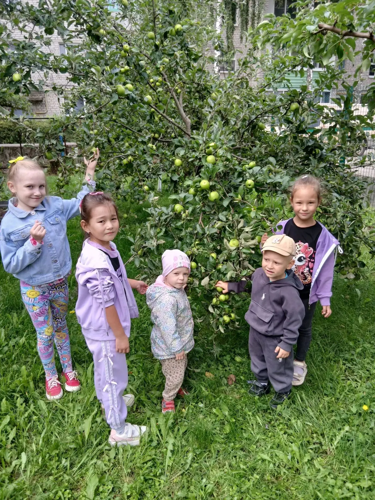 🍏 Яблочный Спас!