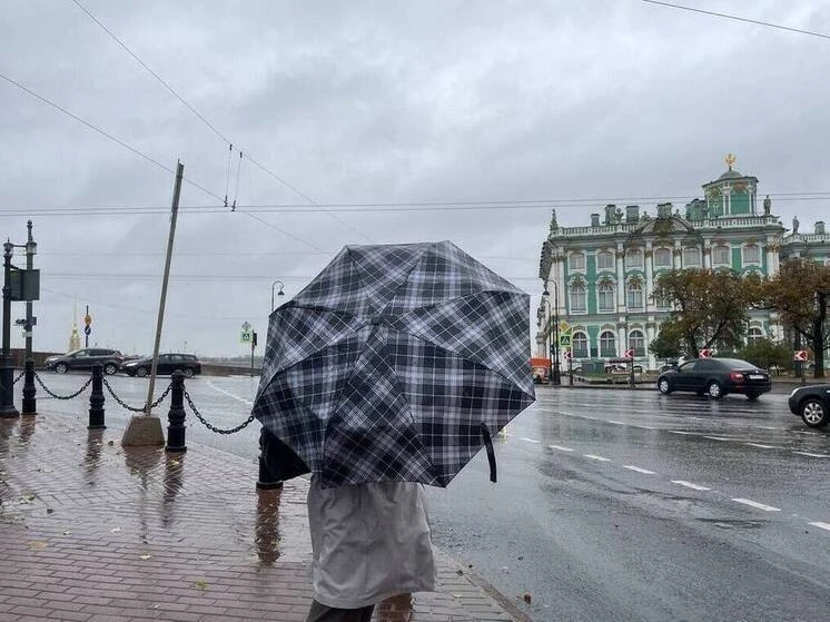 В Петербурге из-за надвигающегося мощного ветра на ночь закроют парки и сады   В Петербурге в ночь н