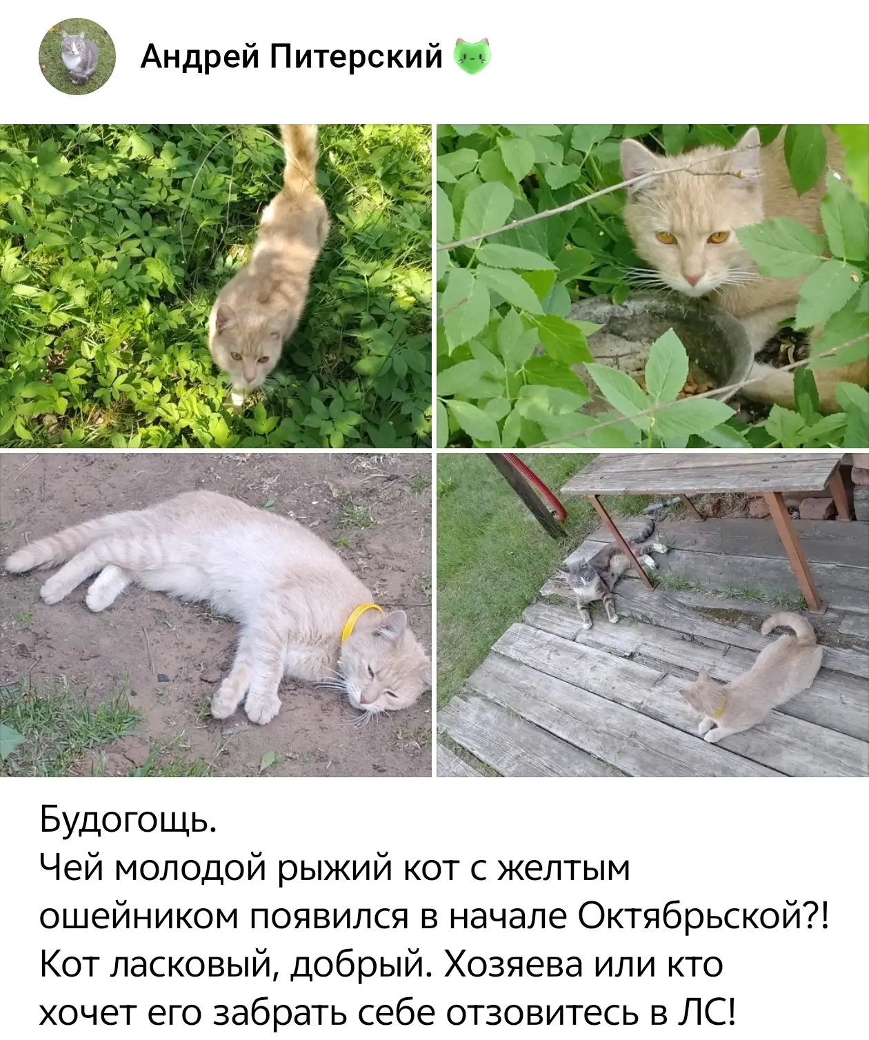 https://vk.ru/id186570339