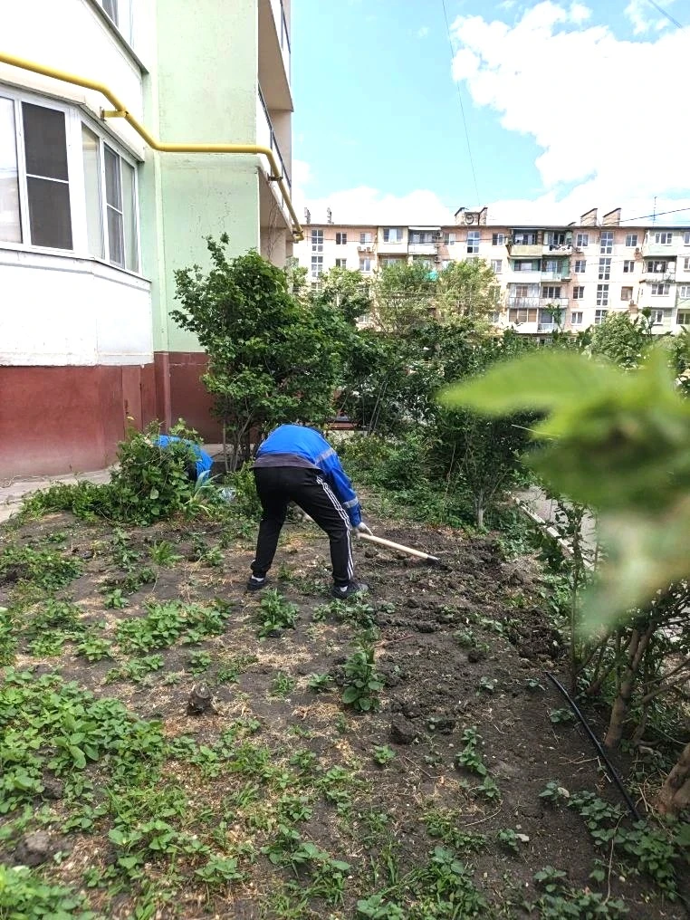 К новости «🌿 Зеленый оазис у дома: монтируем систему автополива!»