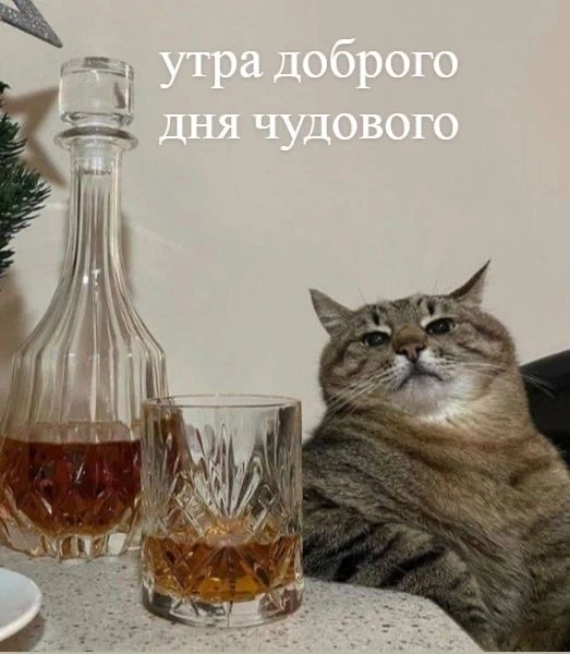 Доброе утро, омичи!