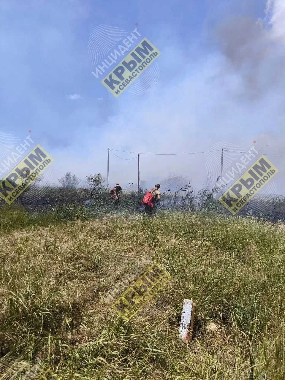 В Сакском районе в районе Новофедоровки тушат лесной пожар площадью около гектара, угро...