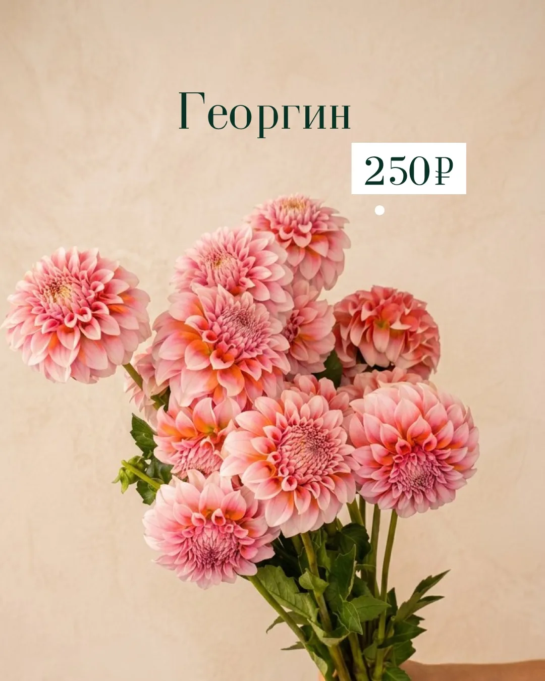 Новая поставка цветов 🌺