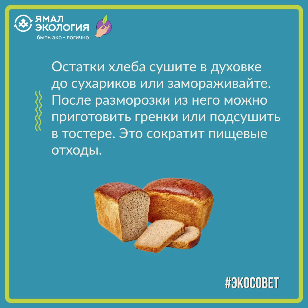 Пищевые отходы - это не только очистки или огрызки, но и нетронутые, вполне съедобные п...