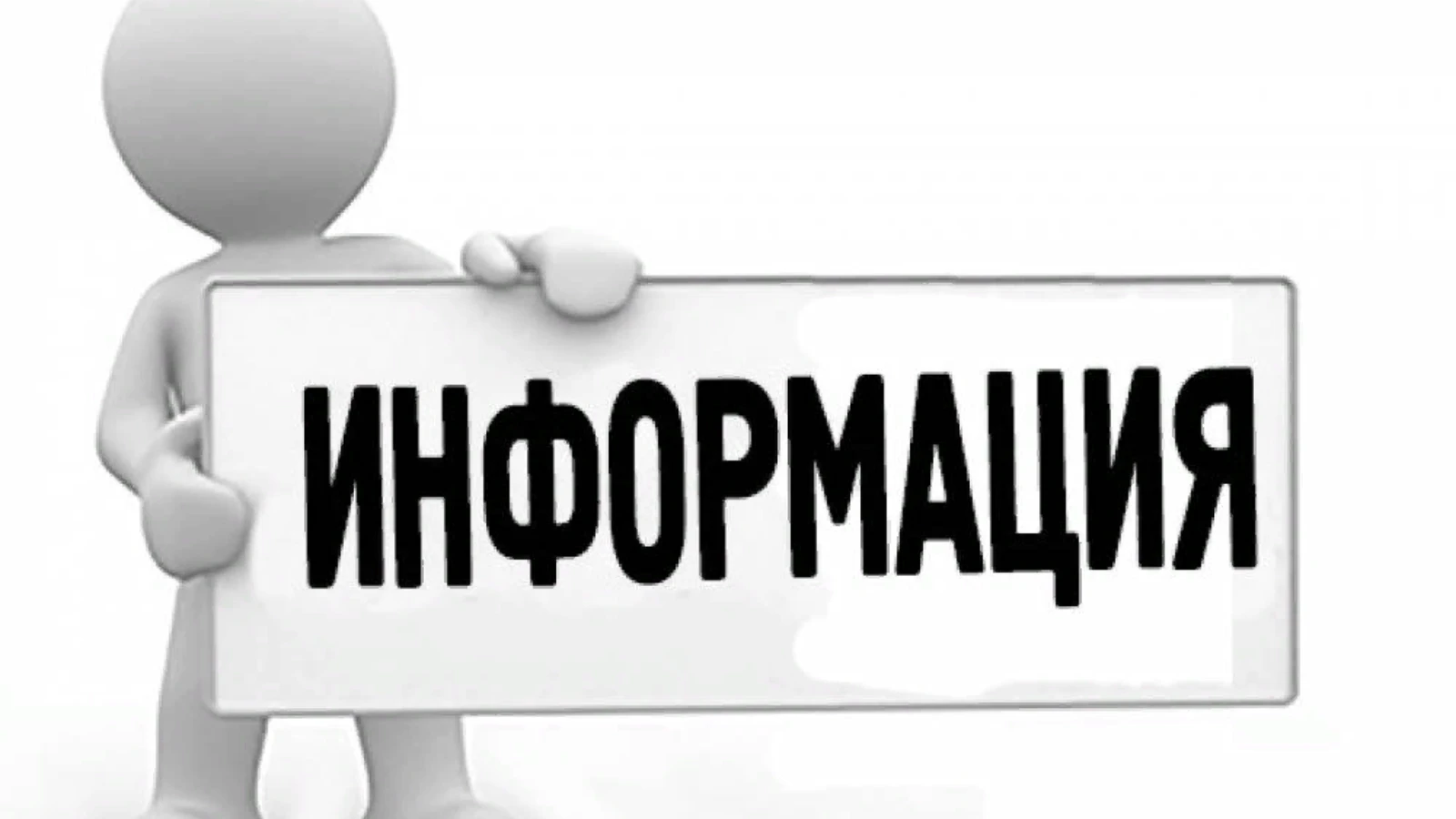 О результатах мониторинга количества животных без владельцев