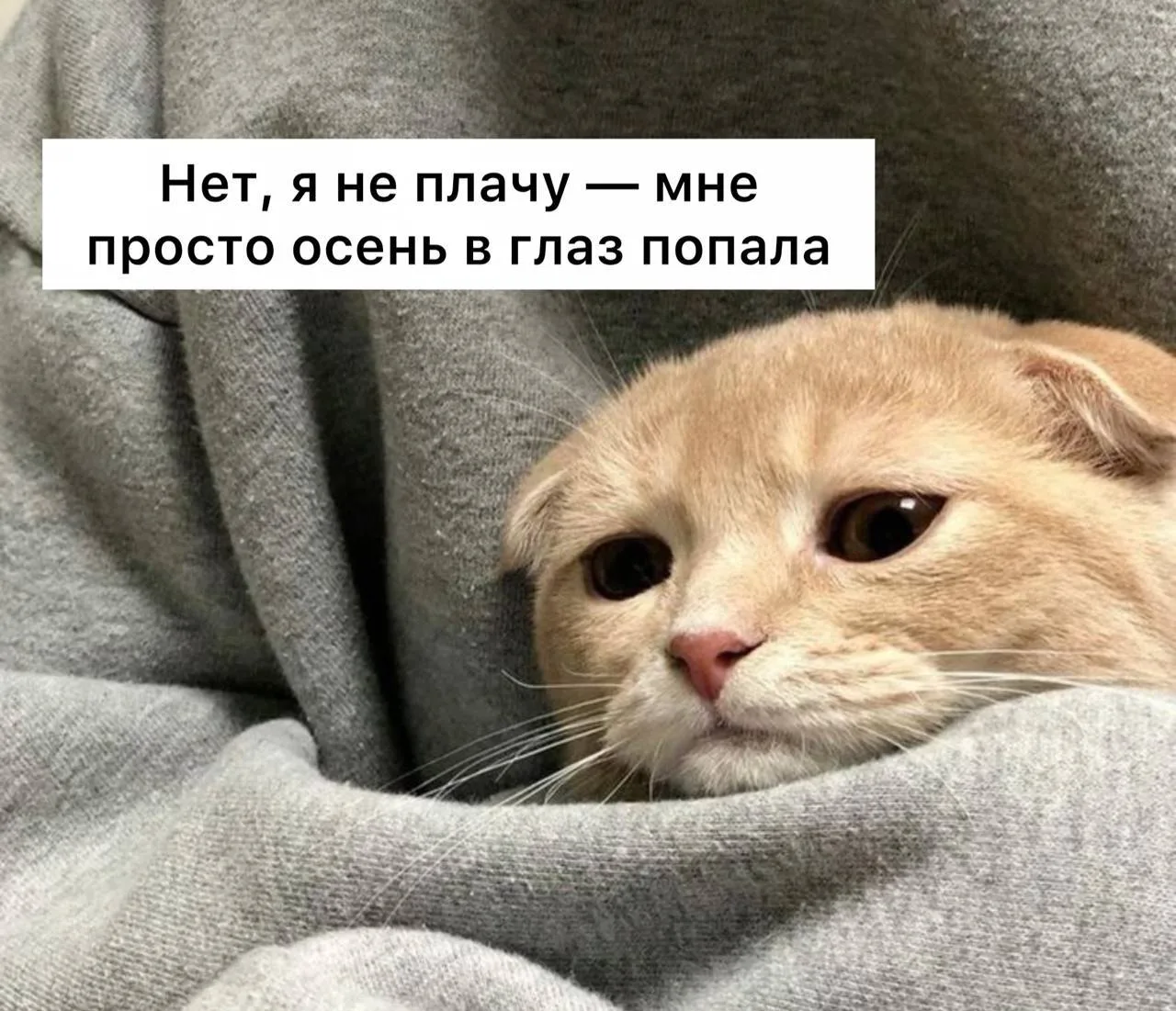 Доброе субботнее, друзья!