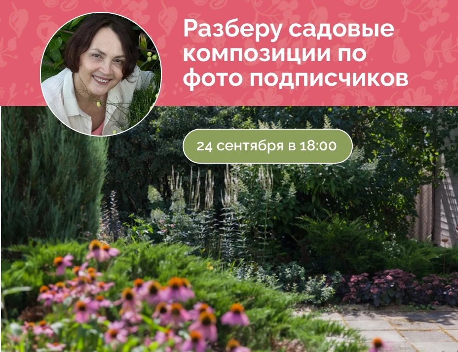 Новый открытый мастер-класс Натальи Мягковой, чтобы вместе разобрать ошибки начинающих ...