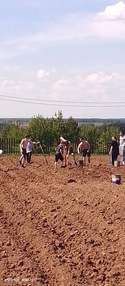 Сегодня в нашей школе продолжились садово-огородные работы: на посадке картофеля ударно...