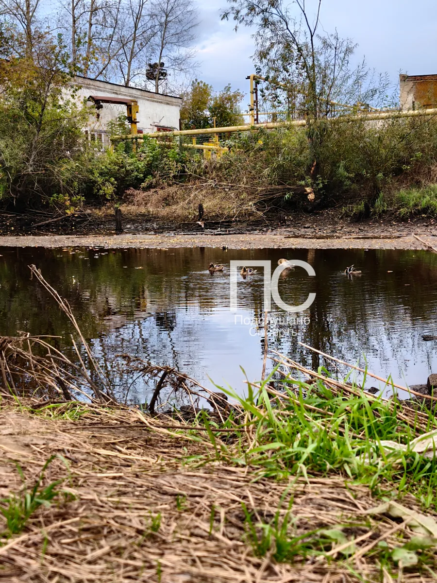Вот что осталось после спуска воды у плотины «Уралгидромаша»