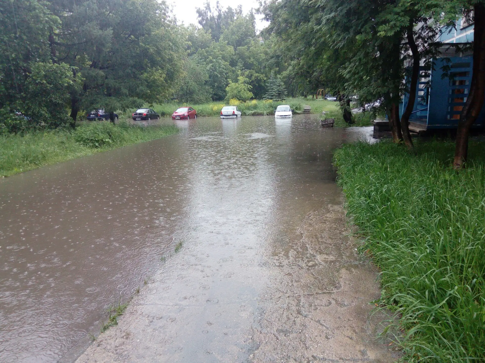 🌧️Челябинская область перевыполнила план по осадкам: за полмесяца выпала месячная норма

Но дожди с
