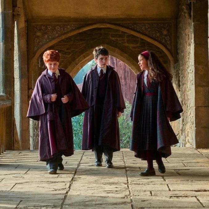 🤩 До премьеры сериала по «Гарри Поттеру» осталось 199 дней!