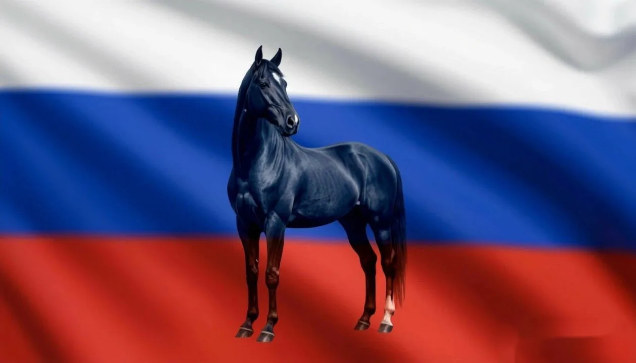 С Днем России, наша великая страна! Спортивная школа «Пегас» поздравляет всех с праздником! Желаем н
