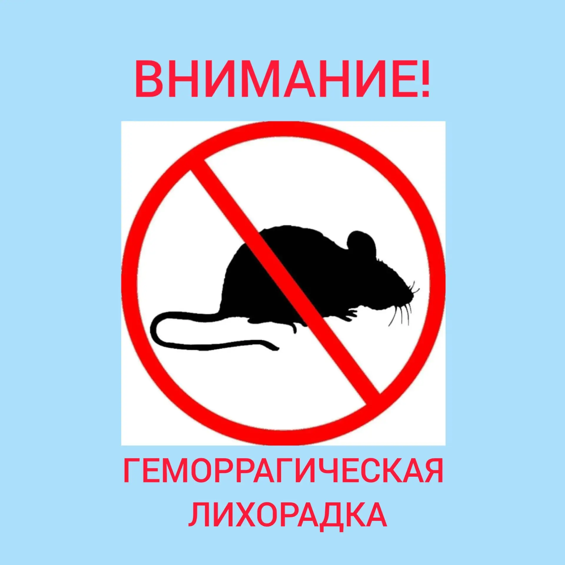 ПОЛЕЗНАЯ ИНФОРМАЦИЯ. Осторожно, грызуны!
Геморрагическая лихорадка с почечным синдромом (ГЛПС) – тяж