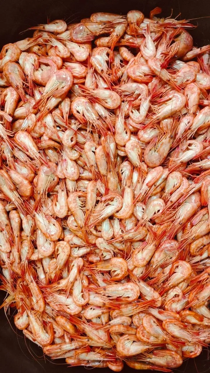 *САХАЛИНСКИЙ ЧИЛИМ MIX ТОЛЬКО С ВАРКИ* 🦐🔥

2️⃣8️⃣0️⃣0️⃣ р/кг за наличку
3️⃣0️⃣0️⃣0️⃣ р/кг безнал

