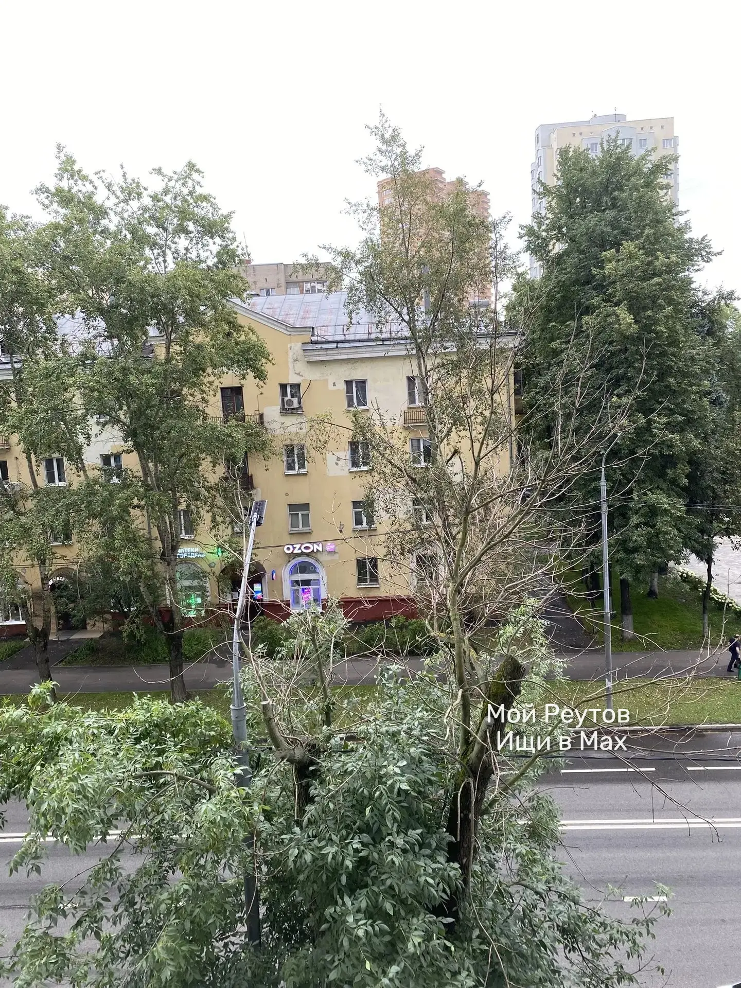 ‼️ Добрый день, служащие администрации. 

Несколько раз обращалась по поводу опиловки дерева на ул. 