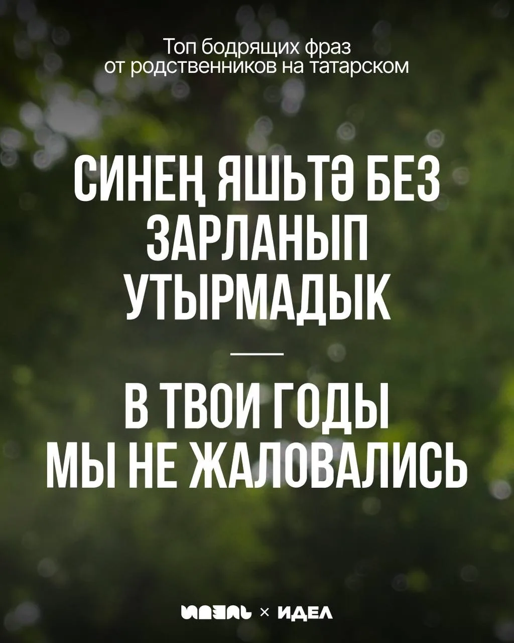 Туганнарның яратып әйтә торган сүзләрен җыйдык 🙏