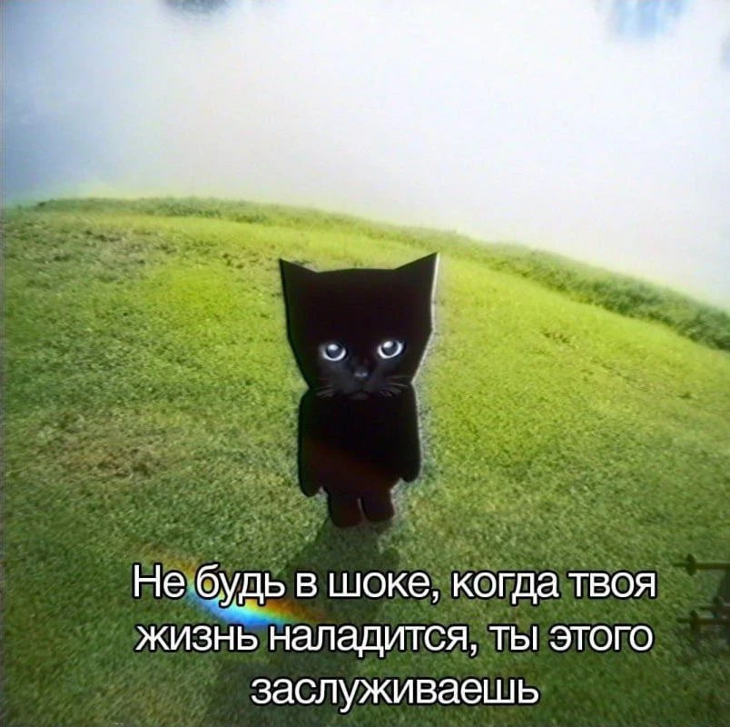 не будь в шоке, когда твоя жизнь наладится, ты этого заслуживаешь 🫶🏻


СТАТУСЫ 🩵 | АВЫ 💜 | ОБОИ 