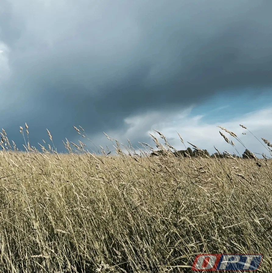 ⛈️ В Оренбуржье ожидаются гроза и сильный ветер